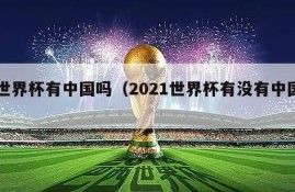 世界杯有中国吗（2021世界杯有没有中国）